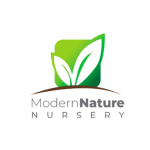 Modern Nature Nursery Modern Nature Nursery